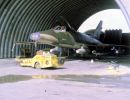 510th Fighter Squadron "Buzzards of Bien Hoa" 510th Fighter Squadron "Buzzards of Bien Hoa"