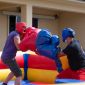 Birds of a feather host morale event together Birds of a feather host morale event together